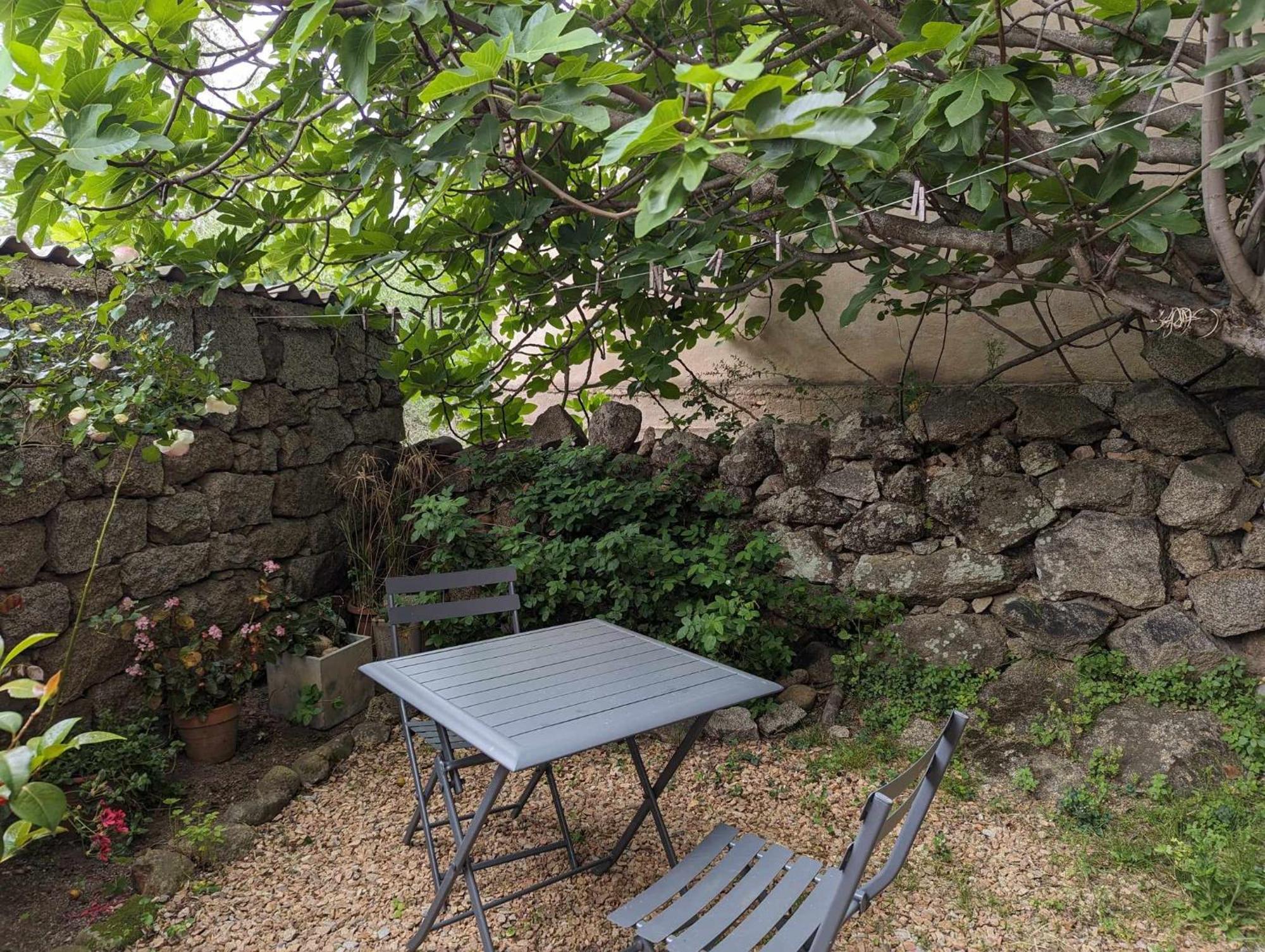 Appartement Proche De Porto-Vecchio エクステリア 写真